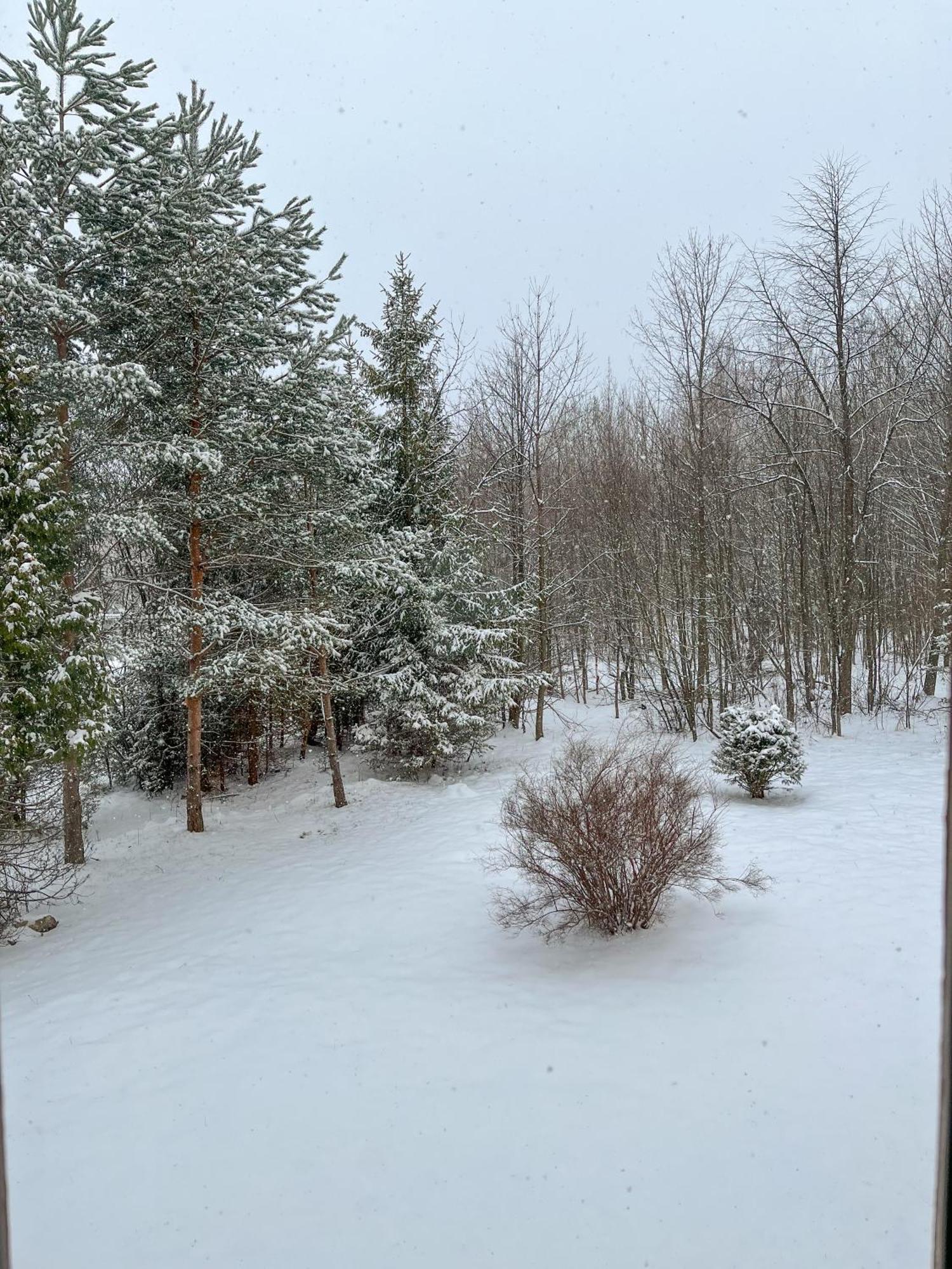 Slnecny 2-Izbovy Apartman Pod Lesom, Dolny Smokovec Vysoké Tatry Exterior foto